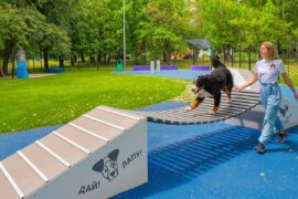 Москвичи высоко оценили проект для владельцев собак «Друг, спасатель, защитник»