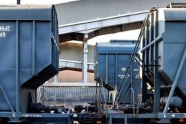 Грузопоток из Китая вырос на 20% — бизнес переходит на более частые поставки